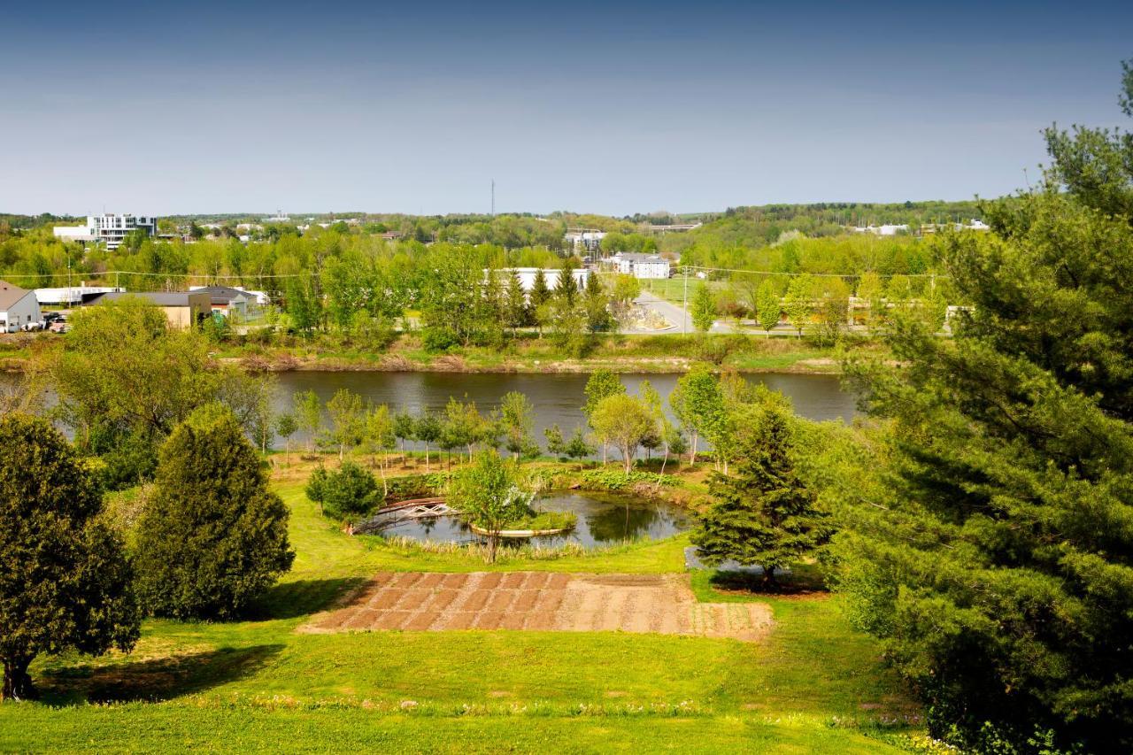 Hebergement "La Maison En Bois Rond" Sainte-Marie Extérieur photo